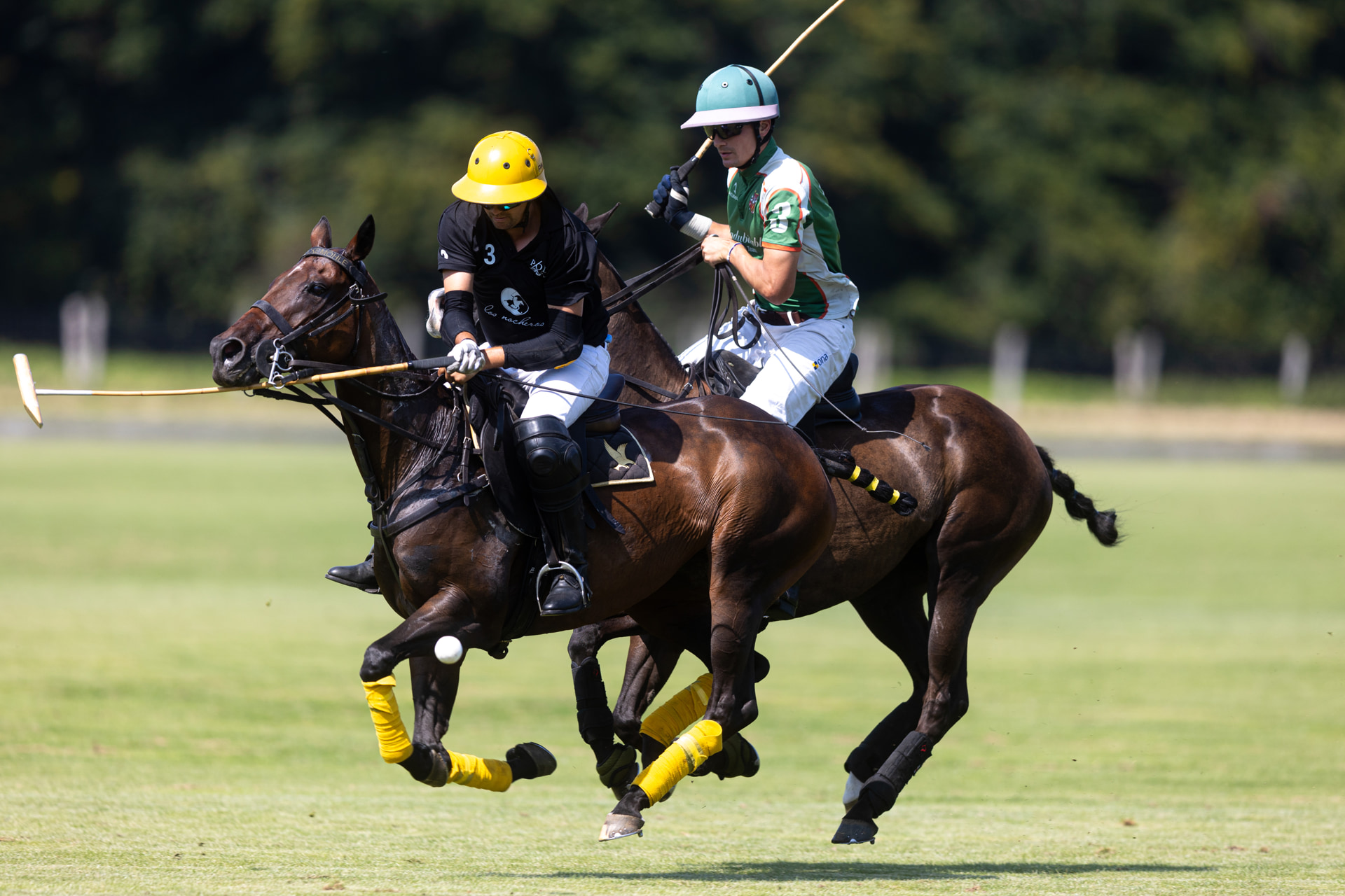 Krenkerup25-SamChurchill-1398 (4) Charity